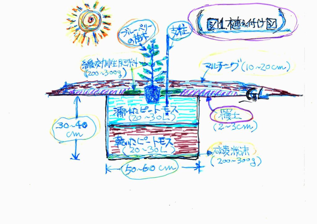 図１　植え付け図